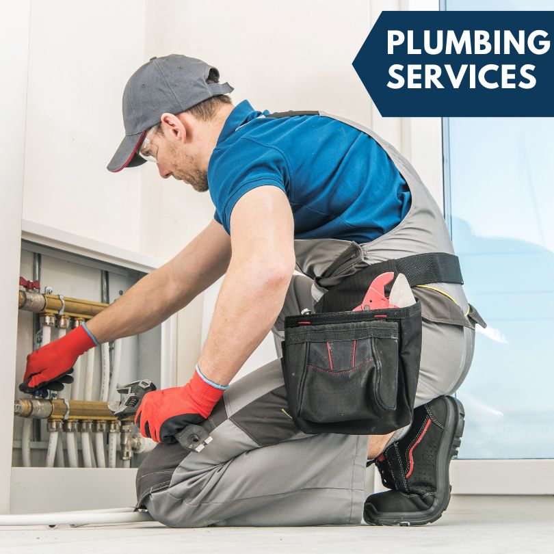Bowdon Plumbing Company